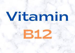 Foods Rich In Vitamin B12